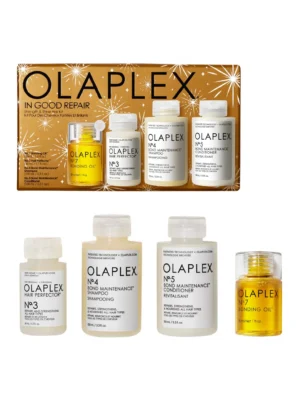Olaplex In Good Repair Hair Kit